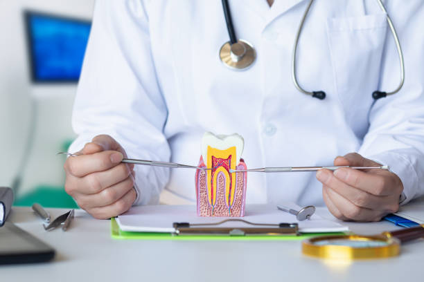 Best Emergency Treatment for Dental Infections or Abscesses in Glendale, MO